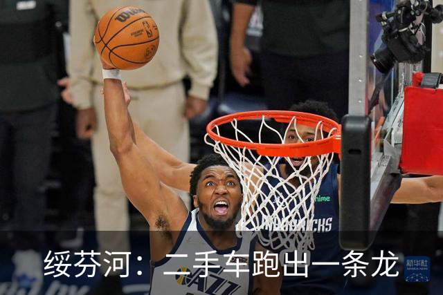 绥芬河：二手车跑出一条龙